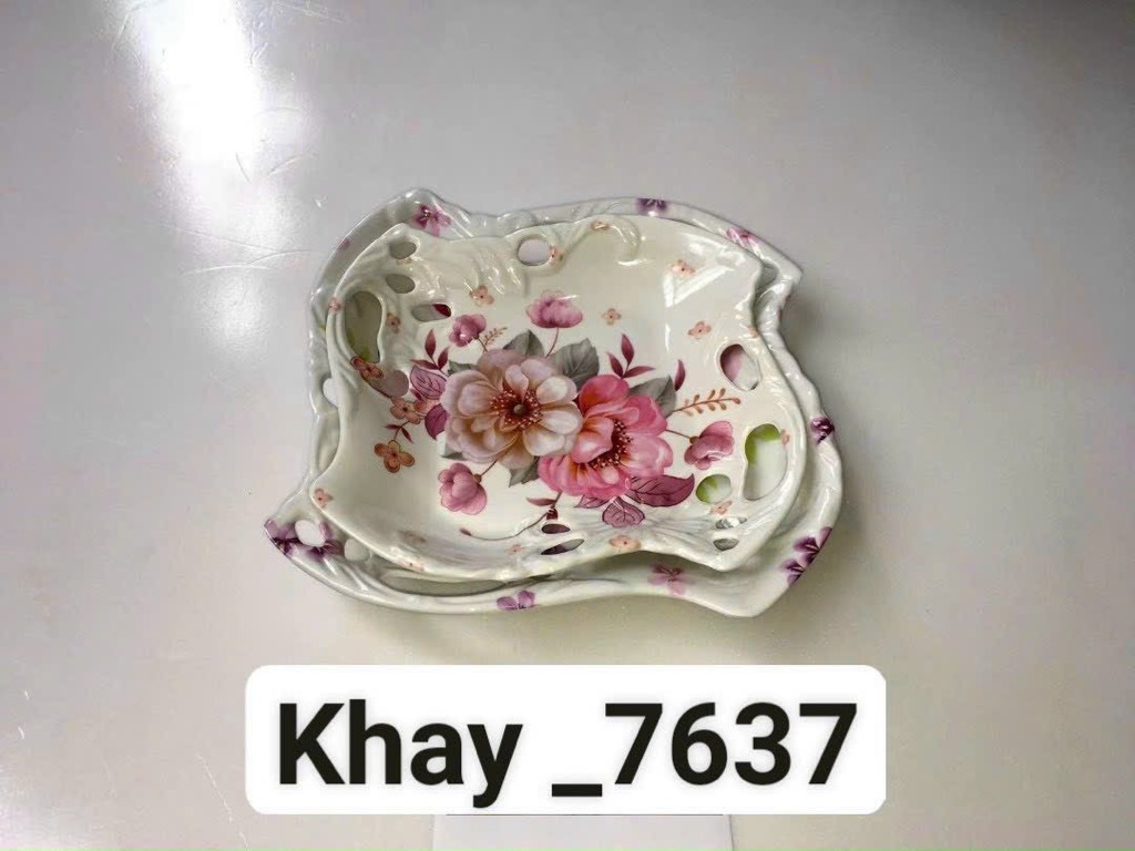 đĩa phíp TL D7637