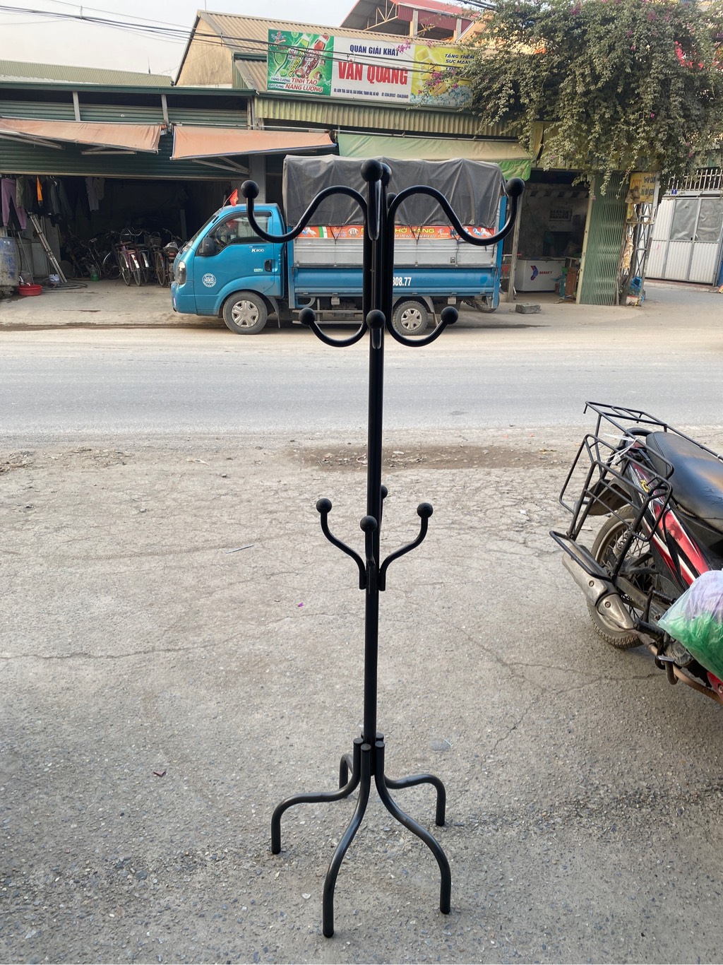 cây thông tĩnh điện đẹp quả đen