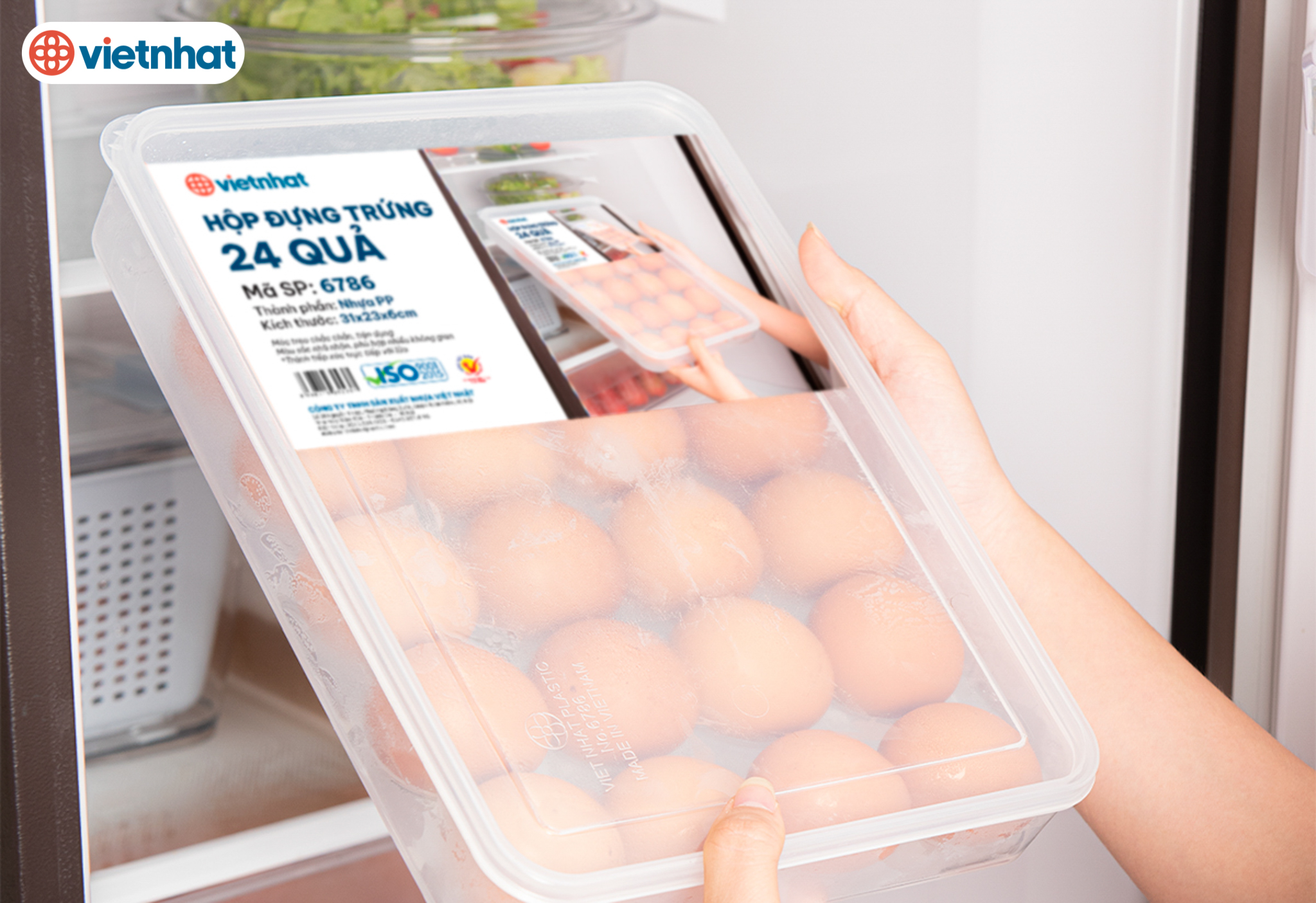 HỘP ĐỰNG TRỨNG 24 QUẢ 6786