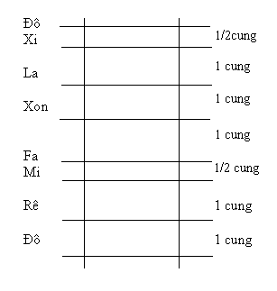 Sơ đồ về cung trong âm nhạc 