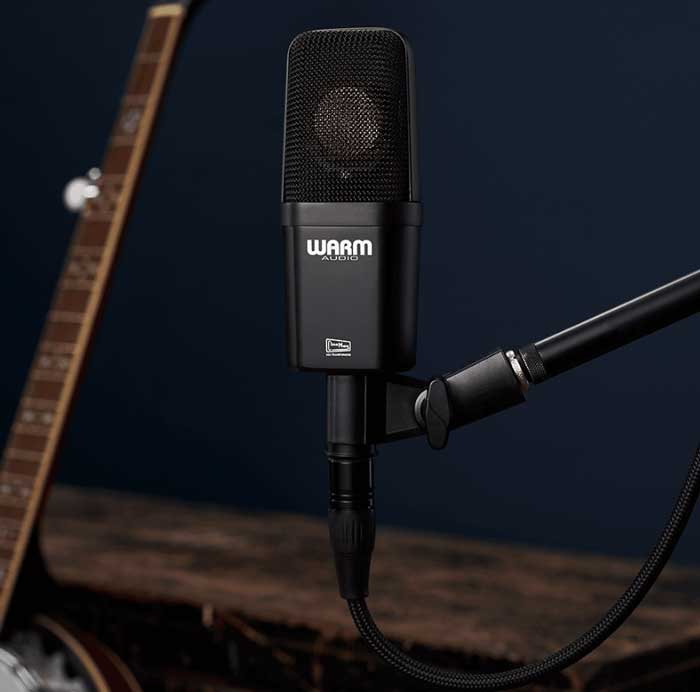 Micro Thu Âm Warm Audio WA-14 được trang bị bộ chuyển mạch pad (-10dB, -20dB) và bộ lọc low cut (40Hz, 80Hz), giúp bạn dễ dàng kiểm soát âm thanh
