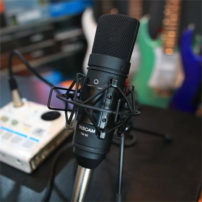 Tascam TM-80 Large Diaphagm Condenser Microphone hàng nhập khẩu