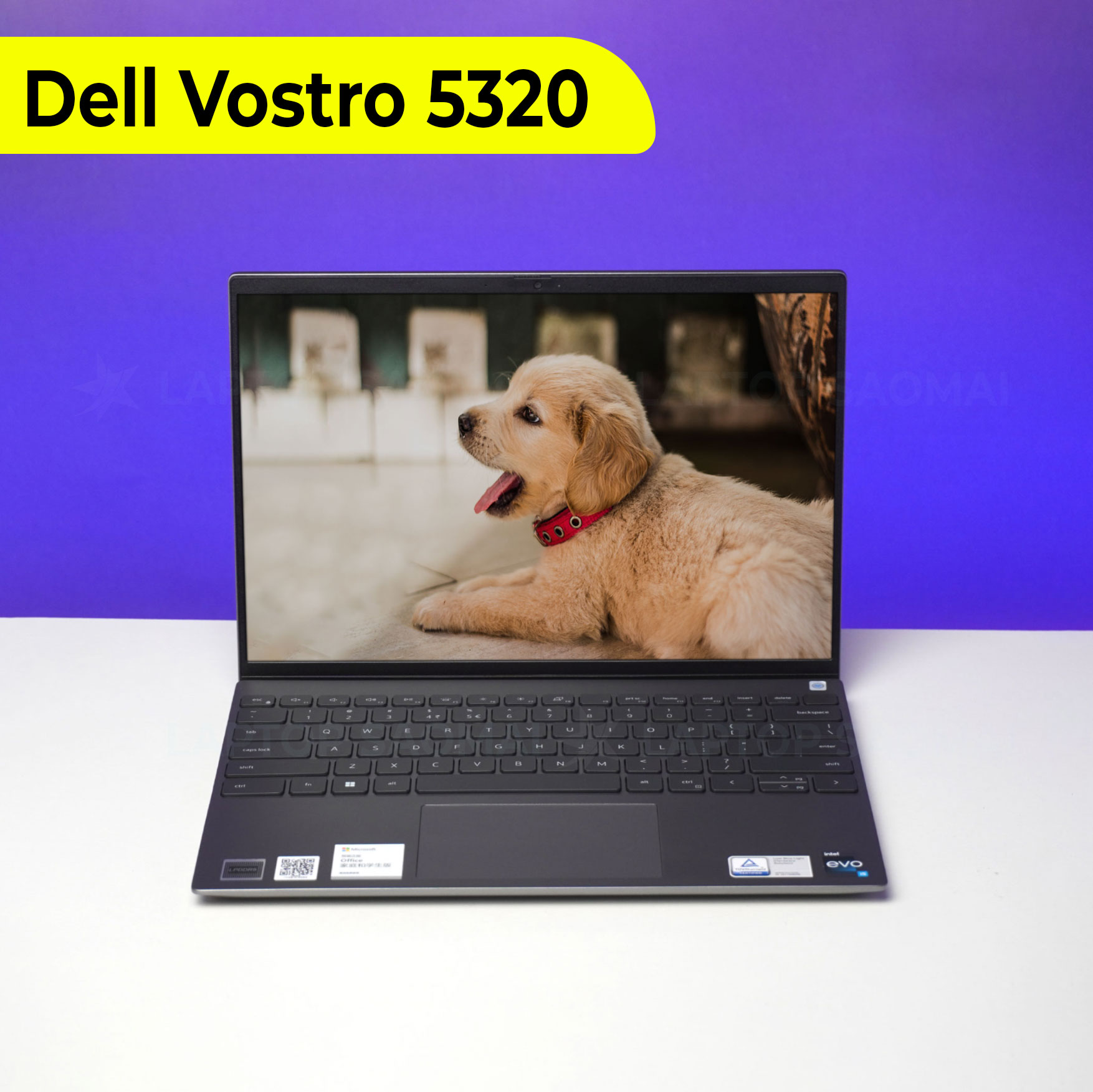 Dell Vostro 5320 [Mới 100%] Core i5 1240P/ 16GB/ 512GB/ 13.3
