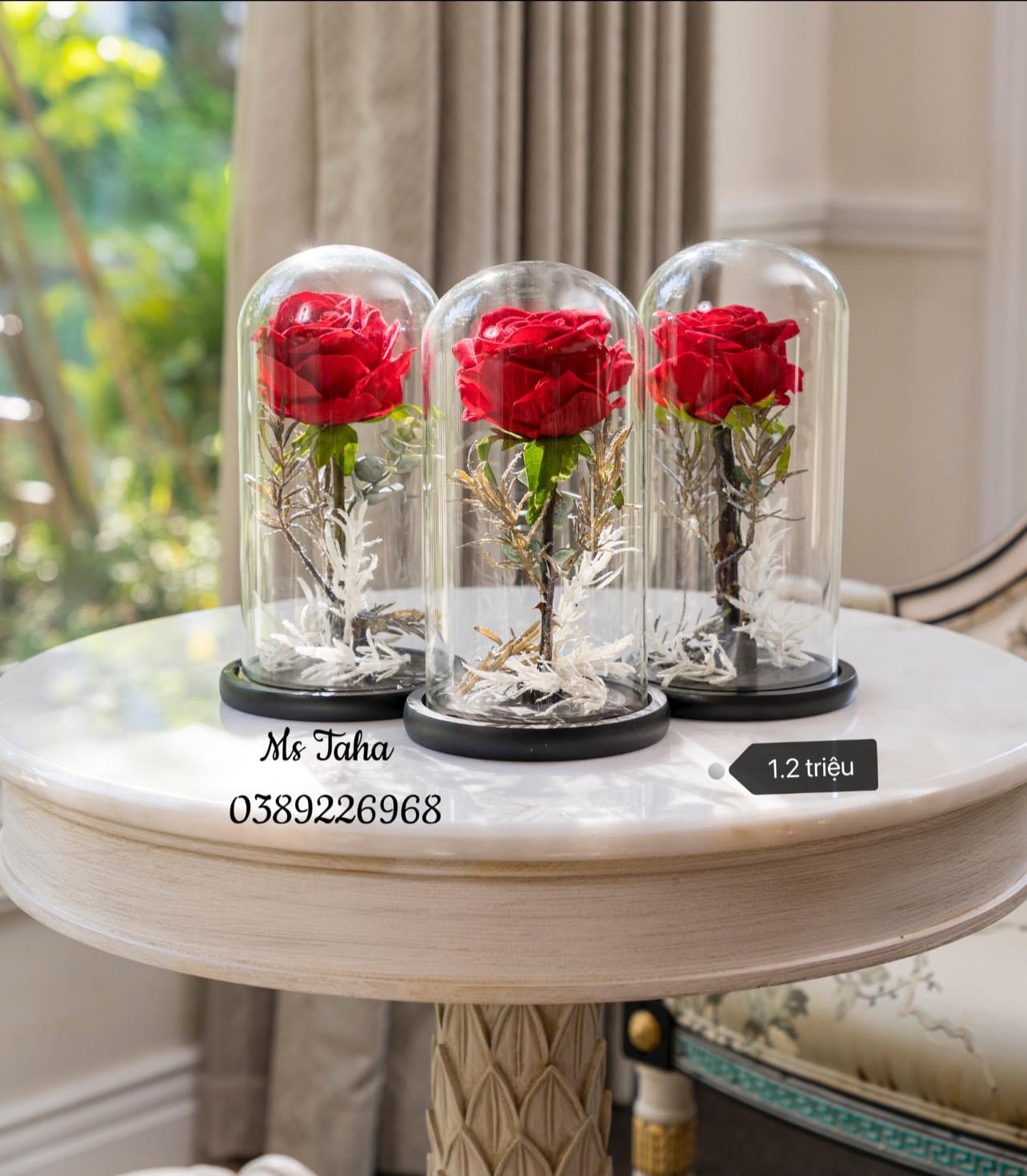 Hộp hoa lụa lồng kính