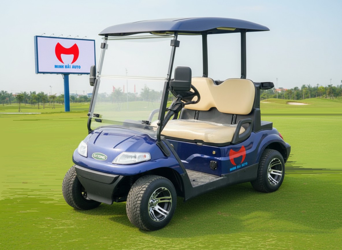 Giá bán xe điện tham quan du lịch chở người bốn bánh- LVtong 2 chỗ - 1