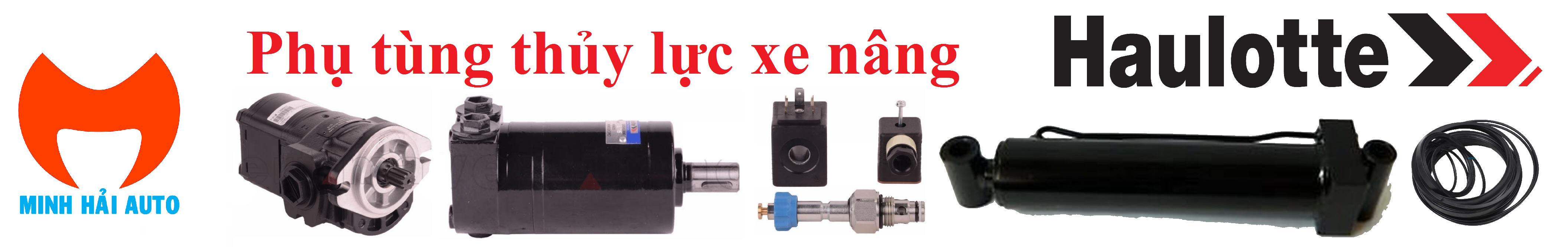 Phụ tùng thủy lực xe nâng Haulotte