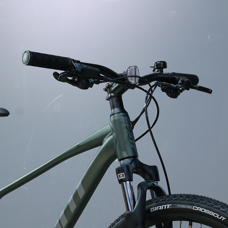 MTB GIANT ROAM 4 DISC – PHANH 