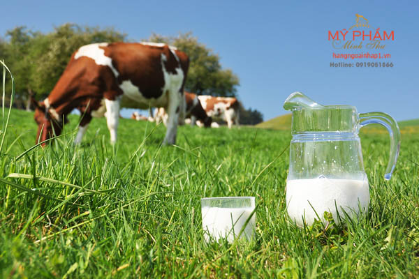 Sữa tươi nguyên kem Australia's Own Milk - Hộp 1 Lít