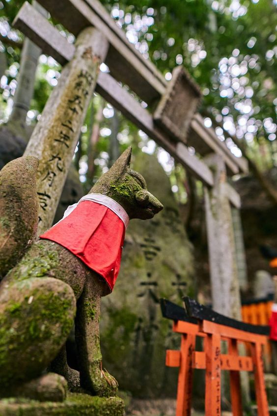 Thần cáo (kitsune 狐 き つ ね) - Linh Vật Linh Thiêng Đầy Mê Hoặc Ở Đền Fushimi Inari Taisha.