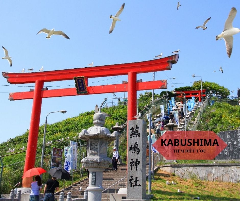 Kabushima – Vương quốc mòng biển đuôi đen và ngôi đền cầu may.
