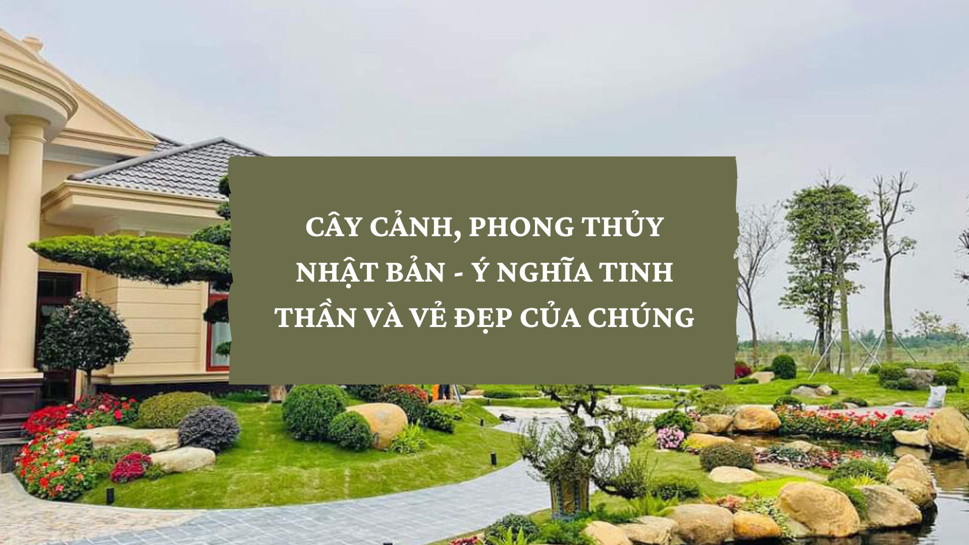 CÂY CẢNH, PHONG THỦY NHẬT BẢN - Ý NGHĨA TINH THẦN VÀ VẺ ĐẸP CỦA CHÚNG