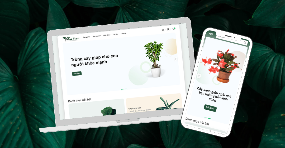 Hướng dẫn sử dụng Mew Plant