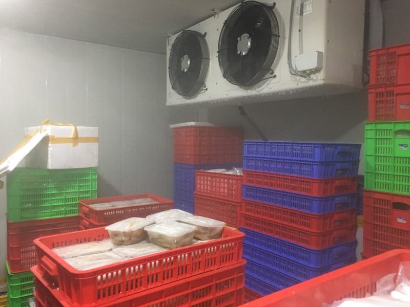 Kho lạnh bảo quản là gì? Tại sao nhà hàng nào cũng cần đến kho lạnh công nghiệp để bảo quản đồ?