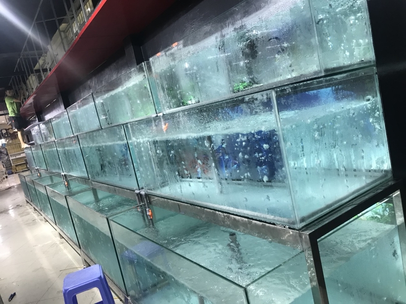 Tủ điều khiển và máy lạnh cho hải sản tại Siêu thị Hoa Ba thành phố Điện Biên