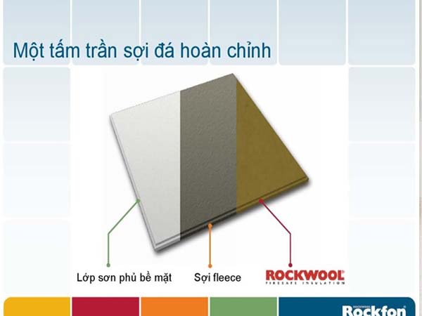 tran-tha-soi-bong-da-tieu-am-rockfon-dan-mach