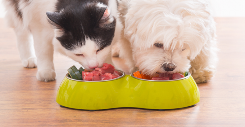 THỰC PHẨM NGUY HIỂM - CÚN MÈO CẦN TRÁNH