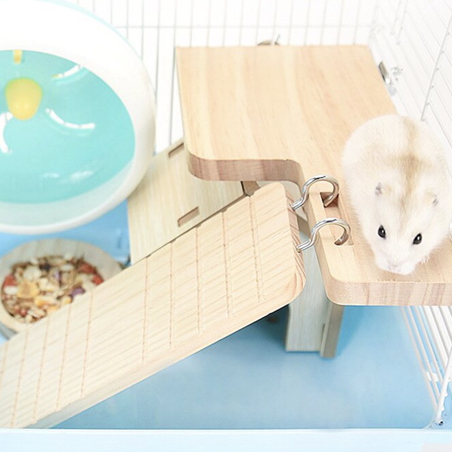 Ván & Thang Treo Chuồng cho Hamster | Thú Nhỏ