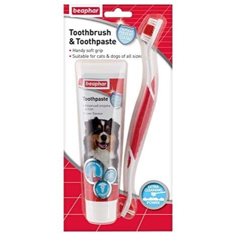 Bộ Chăm Sóc Răng Beaphar Toothbrush & Toothpaste (Kem Đánh Răng kèm Bàn Chải) Hà Lan