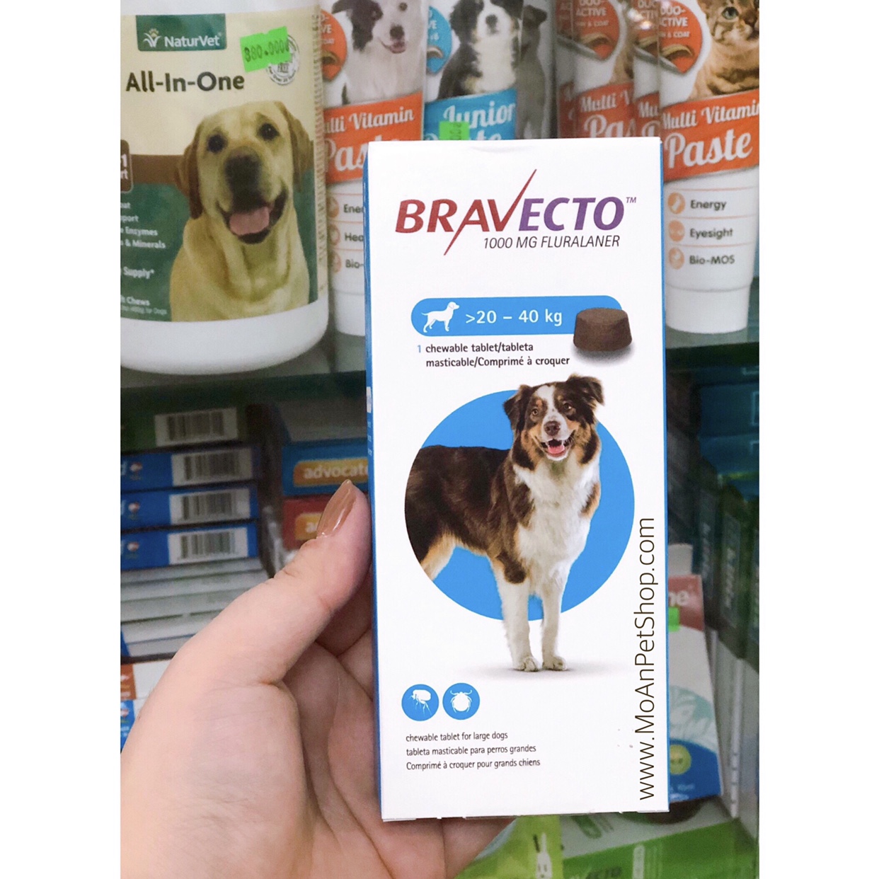 Viên Nhai Điều Trị Ve Rận & Viêm Da Ghẻ Demodex BRAVECTO Hà Lan (20kg-40kg)