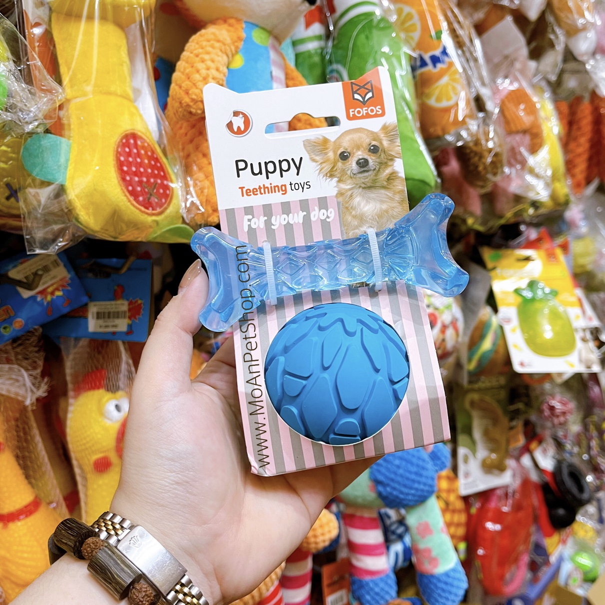 Đồ Chơi Fofos Teething Toys Combo Banh & Khúc Xương Bíp Bíp (2 Màu)