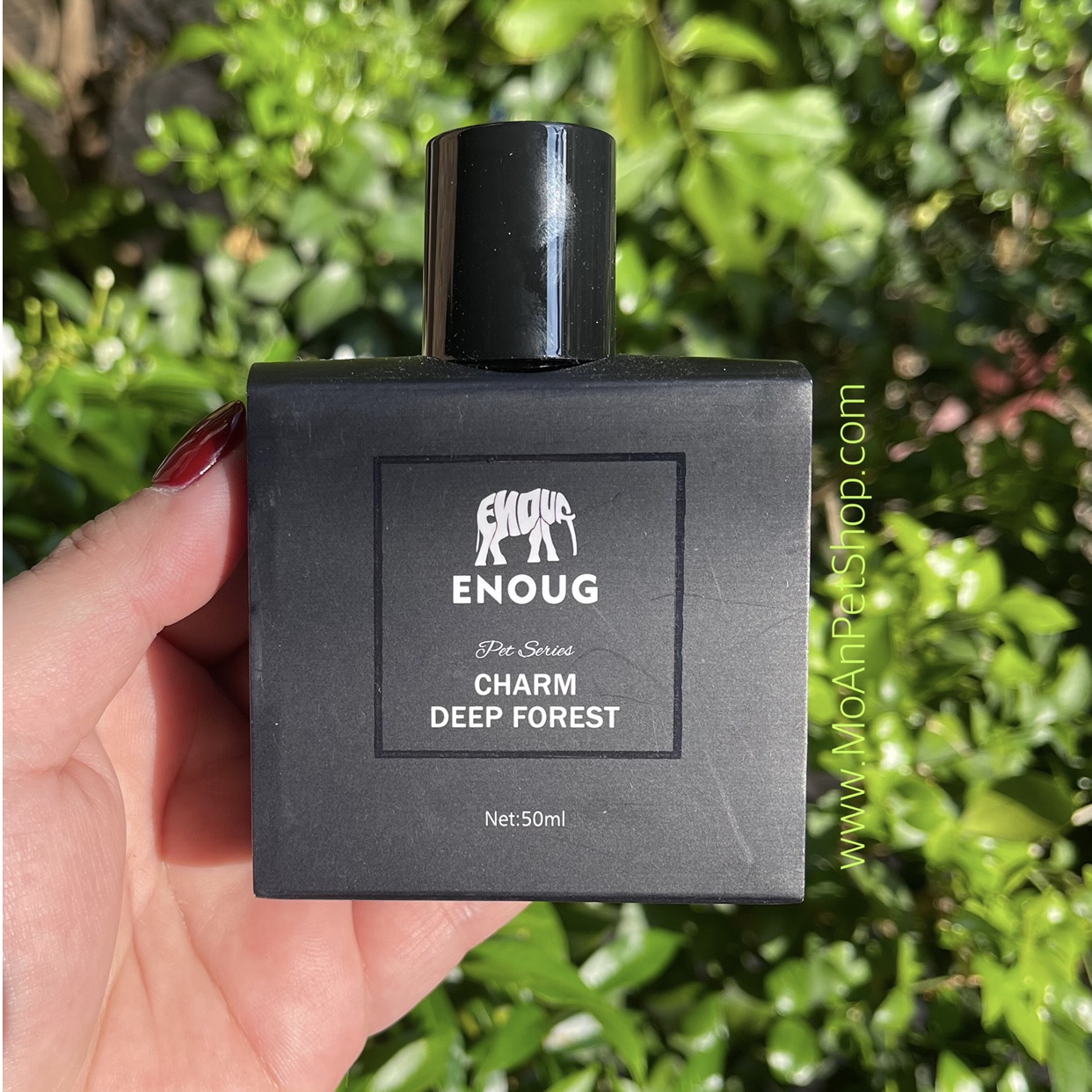 Nước hoa ENOUG Charm Deep Forest 50ml