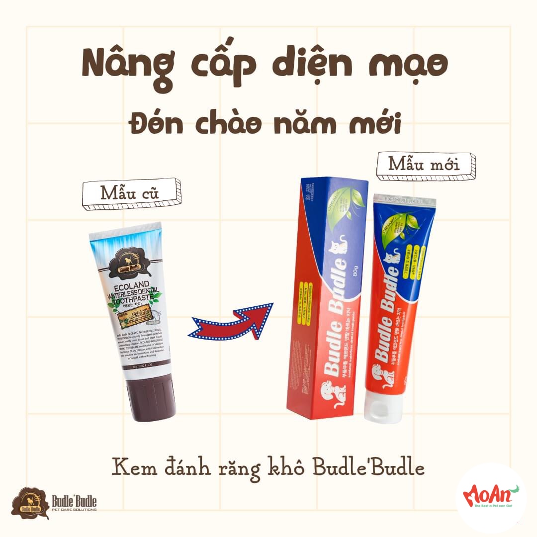 Kem Đánh Răng Khô Budle'Budle ECOLAND WATERLESS DENTAL TOOTHPASTE Hàn Quốc