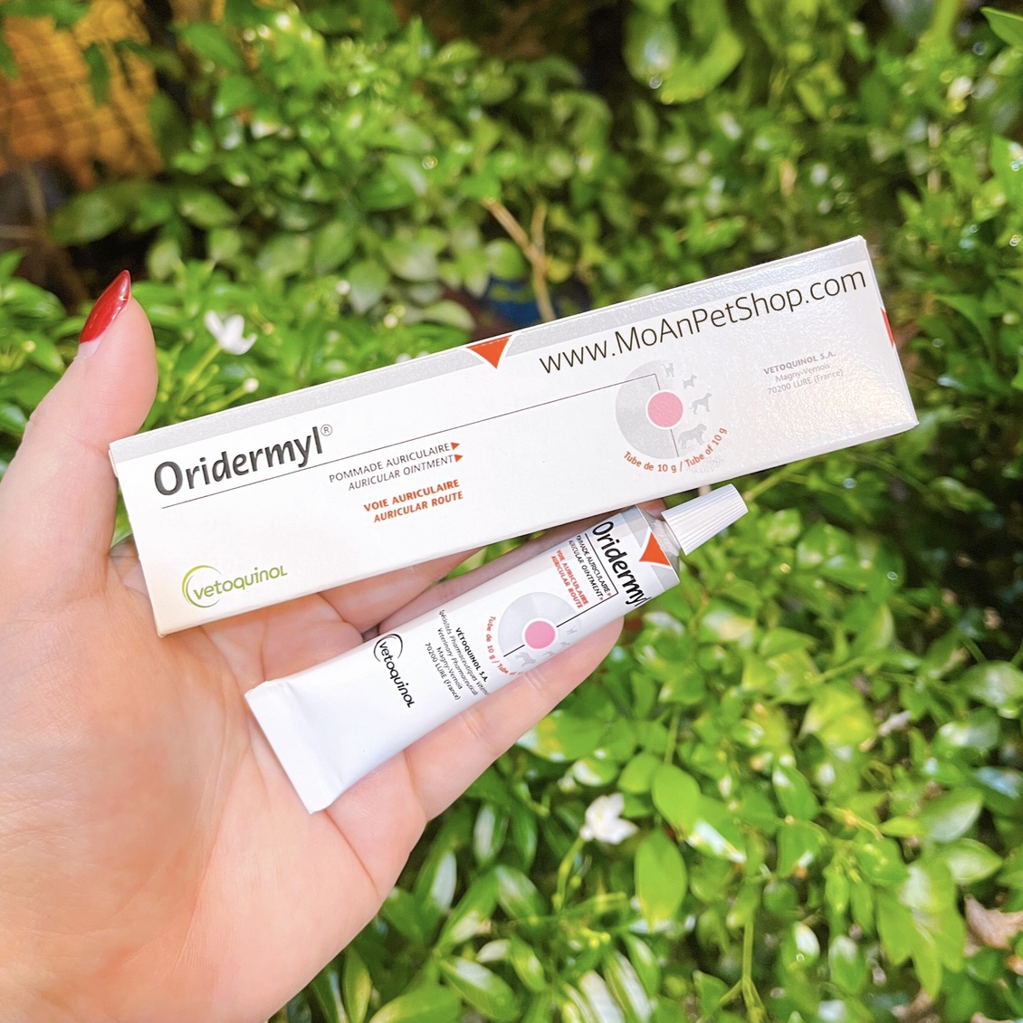 Dung Dịch Phòng Trị Viêm Tai cho Cún Mèo Oridermyl Pháp