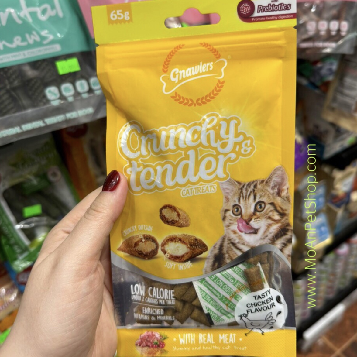 Snack Bánh Thưởng Mèo Gnawlers Crunchy & Tender [Gà] 65g