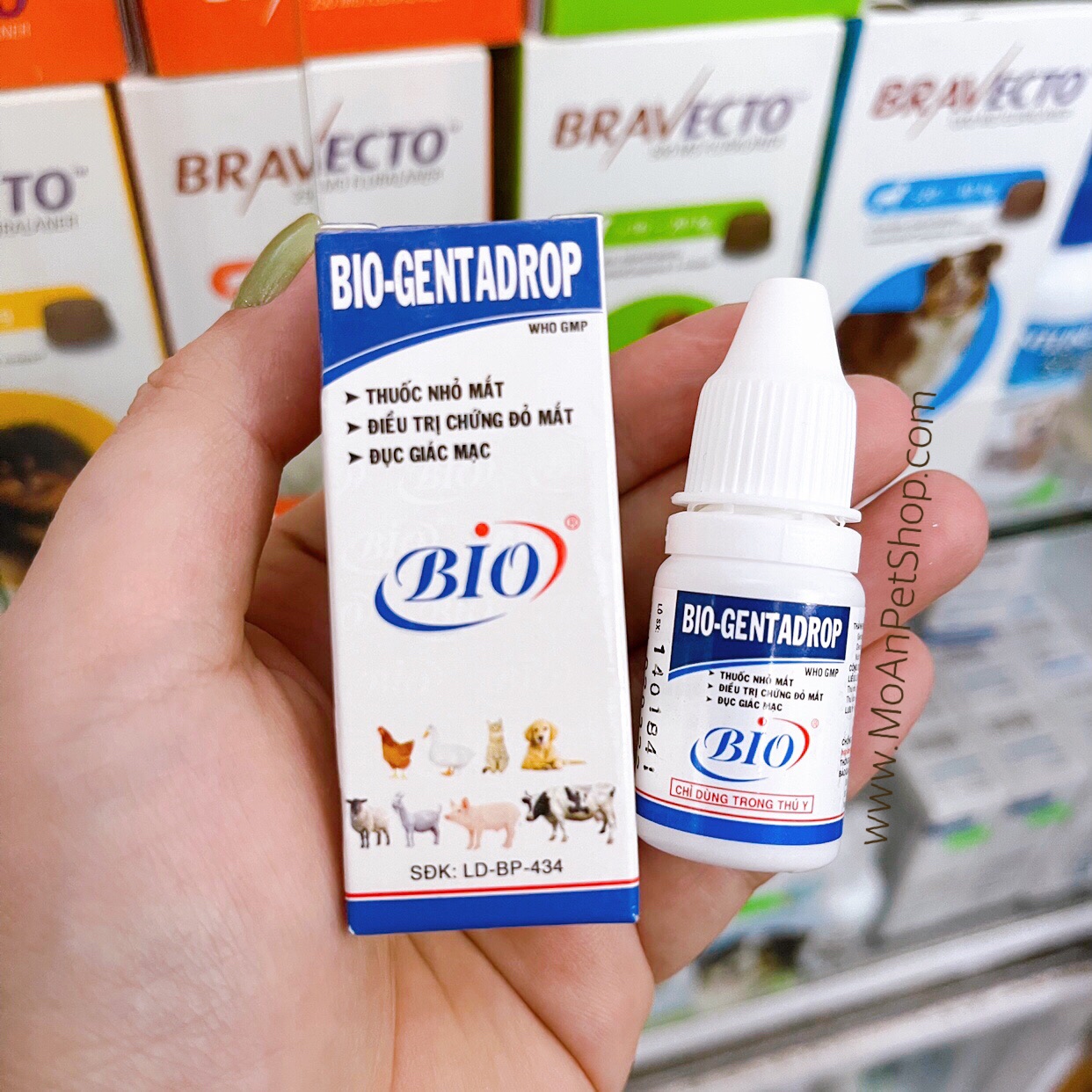 SẢN PHẨM THUỐC NHỎ MẮT BIO GENTADROP HỖ TRỢ ĐIỀU TRỊ GHÈN XANH MẮT THÚ CƯNG