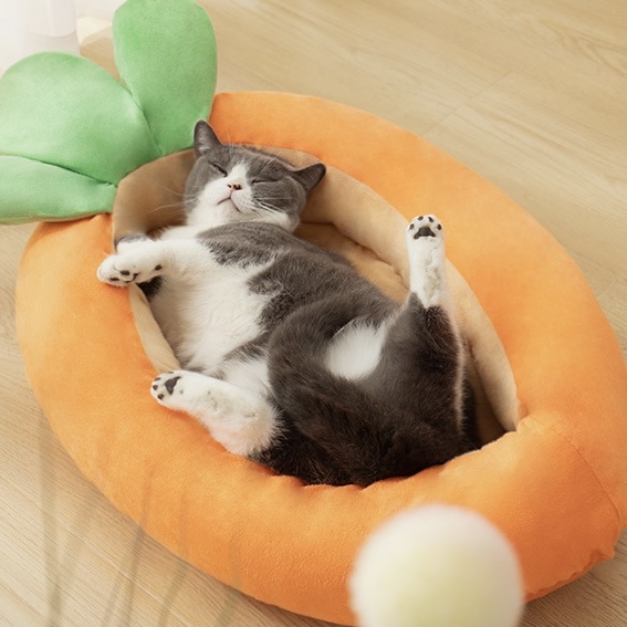 Ổ Nệm Cà Rốt 74x46cm