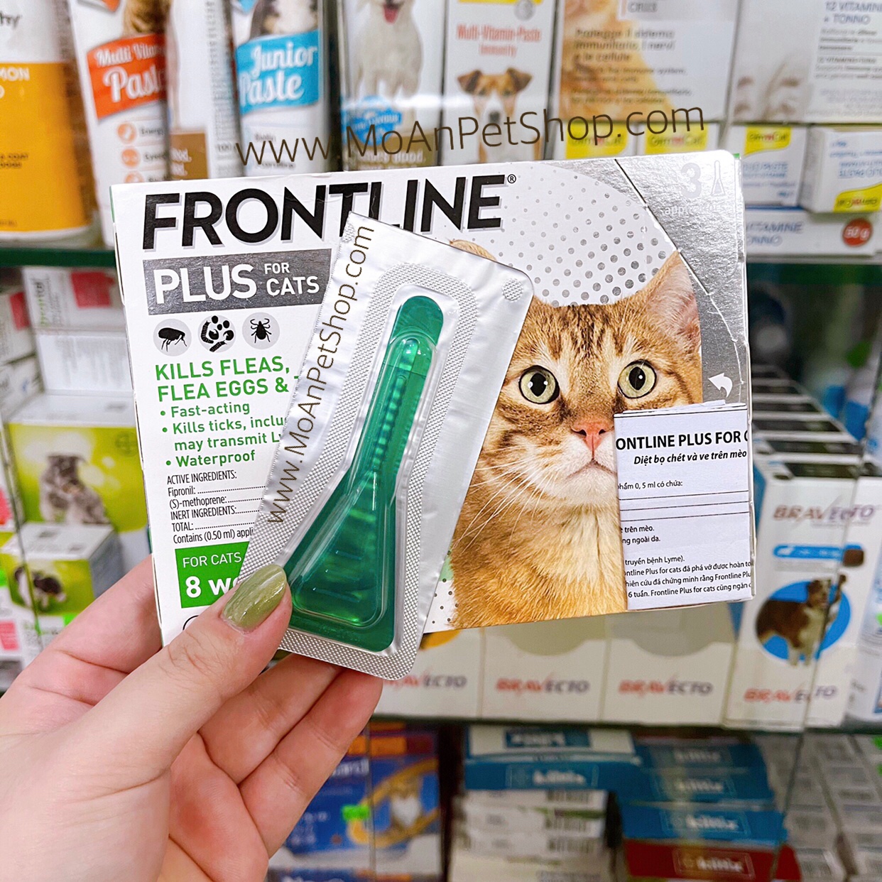 Thuốc Nhỏ Gáy Phòng Trị Ve Rận FRONTLINE® Plus Pháp cho Mèo