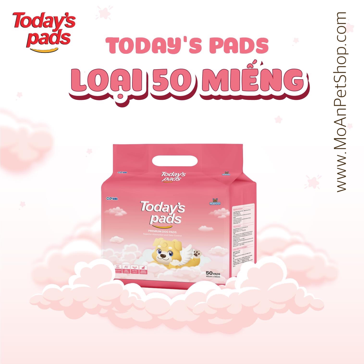 Tã Lót Vệ Sinh Today's pads Hàn Quốc Loại Dày 40x50cm (Gói 50 Miếng)