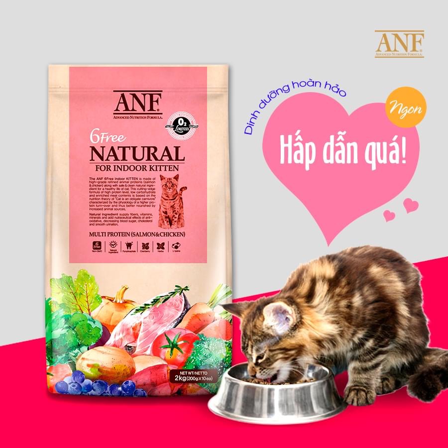 Hạt Mèo ANF 6Free Natural for Indoor Kitten Cat Mèo Con 2kg