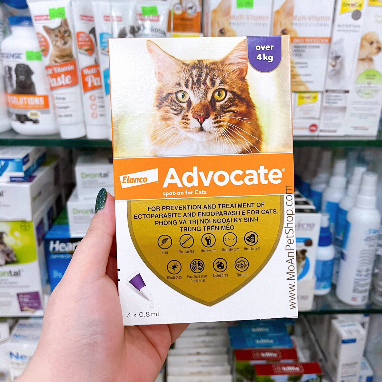 Thuốc Nhỏ Gáy cho Mèo Phòng Trị Bọ Chét, Viêm Da Ghẻ & Nội Ký Sinh Trùng Advocate Cats BAYER Đức (Trên 4kg)