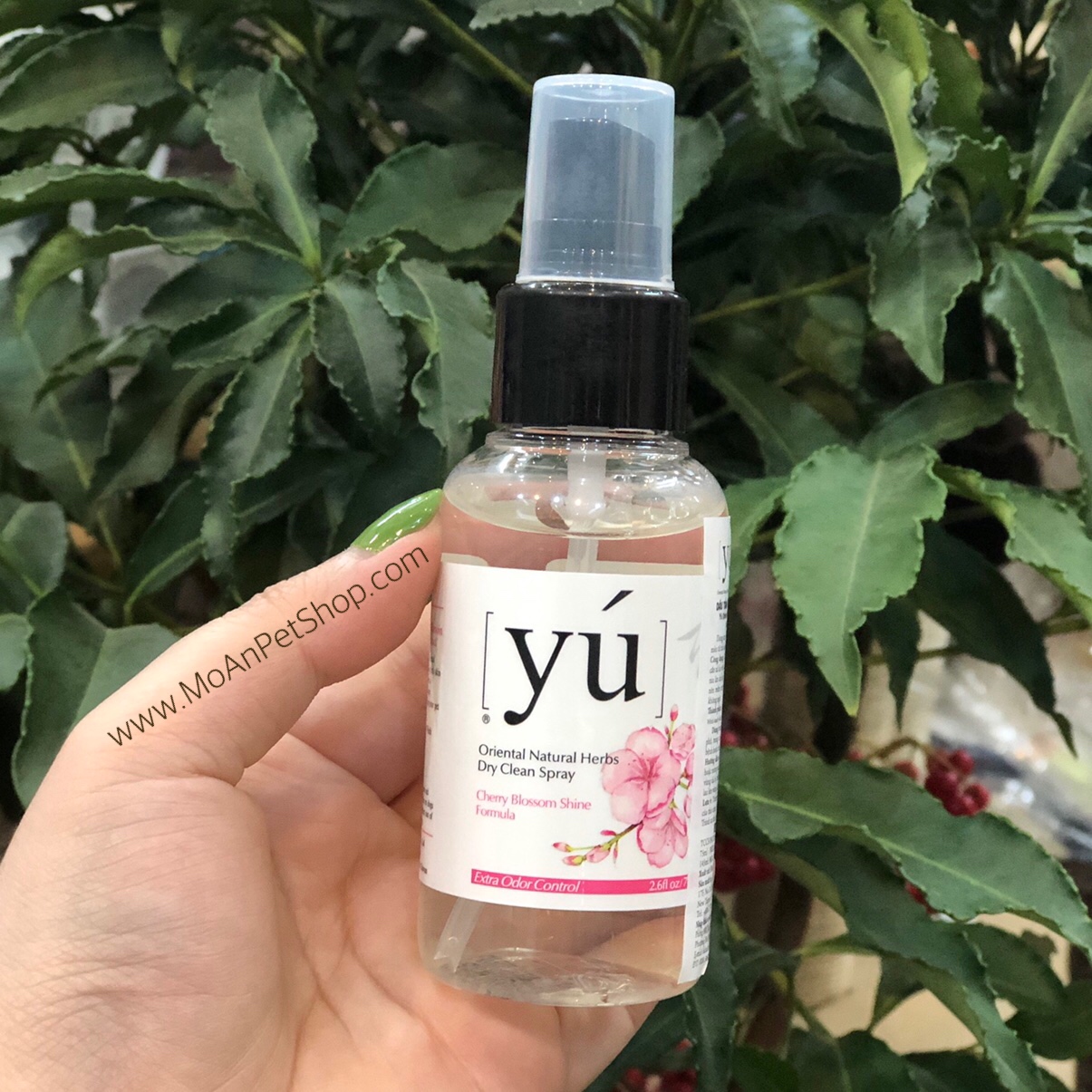 Xịt tắm khô Yú Dry Clean Spray Hoa Anh Đào 75ml