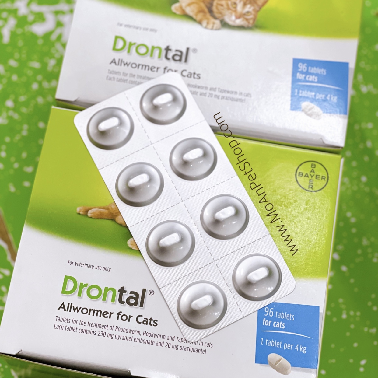 Bayer drontal allwormer for cats cheap