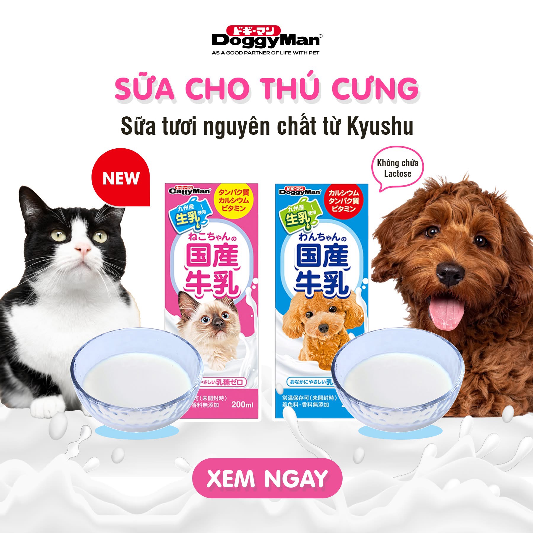 Sữa Tươi Hộp Nguyên Chất DoggyMan 200ml