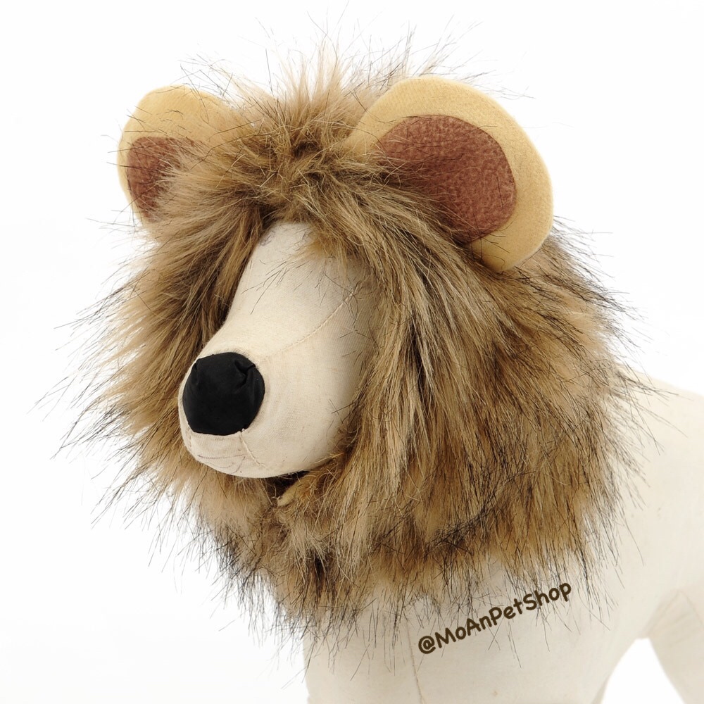 Phụ Kiện Hóa Trang Halloween HW04