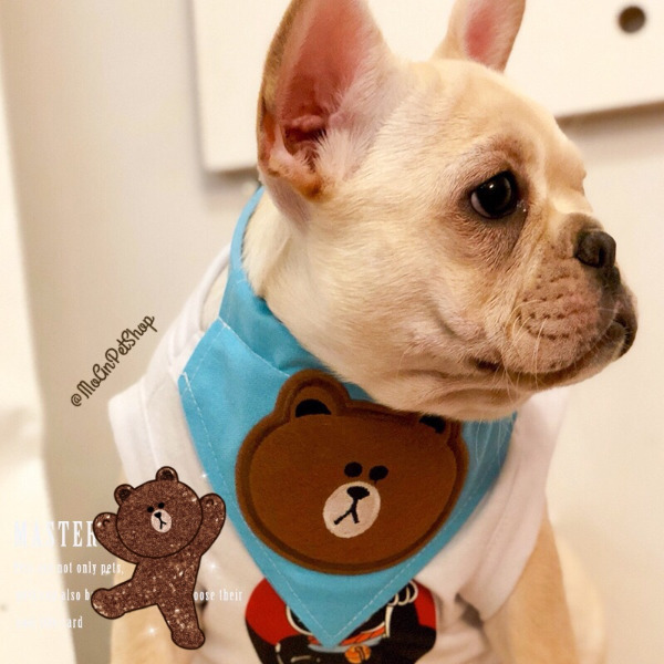 Vòng Cổ Khăn Choàng Gấu | Vịt | Thỏ