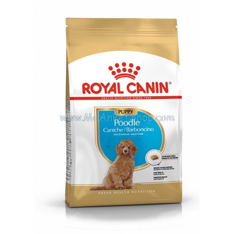 ROYAL CANIN POODLE PUPPY 500g