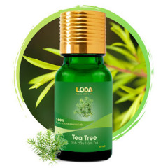 Tinh Dầu Tràm Trà 10ml-50ml