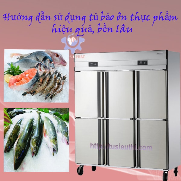 Hướng dẫn sử dụng tủ bảo ôn thực phẩm hiệu quả, bền lâu