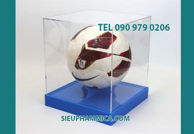 Hộp trưng bày là sản phẩm đang được ưa chuộng nhất hiện nay