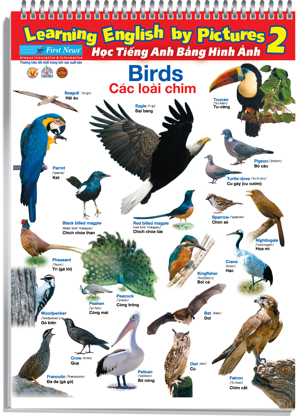 Sách - POSTER HỌC TIẾNG ANH BẰNG HÌNH ẢNH KHỔ NHỎ 2 | Nhà sách ...