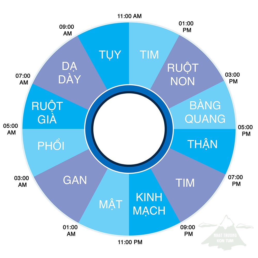 Bảo vệ sức khỏe theo giờ làm việc của lục phủ ngũ tạng