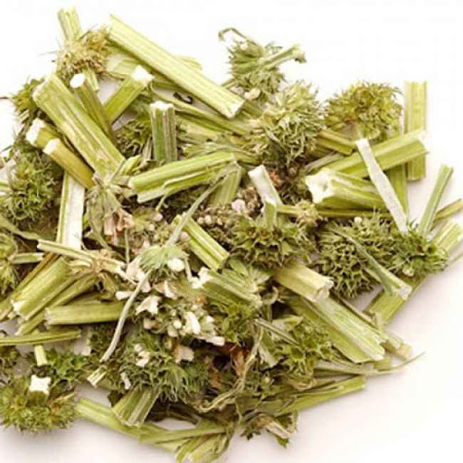 Ích Mẫu Thảo - Công năng và tác dụng