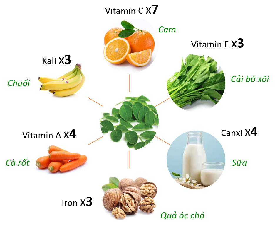 Giá trị dinh dưỡng của cây chùm ngây