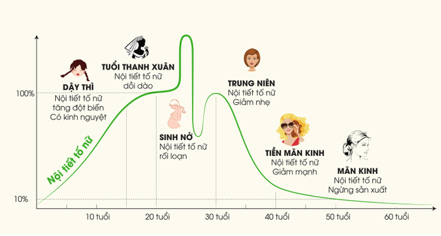 Nội tiết tố nữ estrogen ảnh hưởng đến ham muốn tình dục.