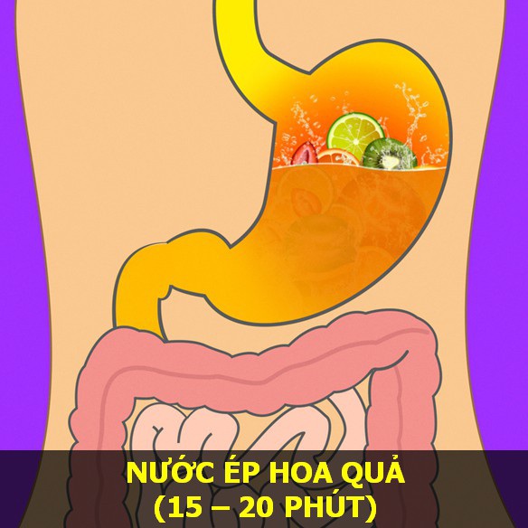 Nước ép rau củ và trái cây - Thời gian tiêu hóa: 15–20 phút