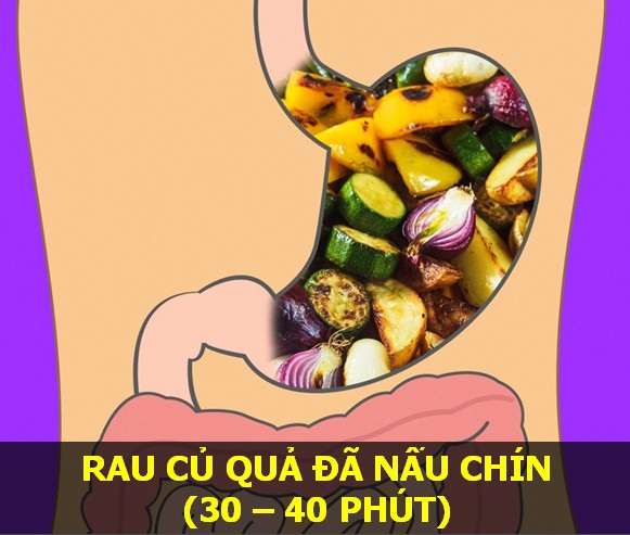 Rau củ đã qua chế biến - Thời gian tiêu hóa: 40 phút